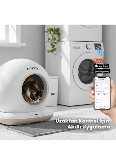 Bay Hd Kameralı Akıllı Kedi Tuvaleti Najmaddin