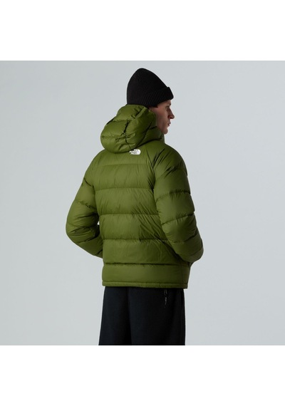 The North Face Erkek Hydrenalıte Kaztüyü Hoodıe Ceket Nf0a5gıebrı1 Tek Renk