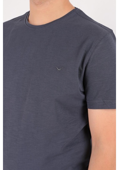 Cazador 4602 Erkek Bisiklet Yaka Flamlı T-shirt 24YCEEO04602-R0106 Antrasit