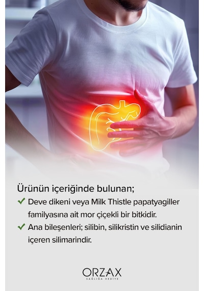 Milk Thistle 30 Tablet 300mg Silbin