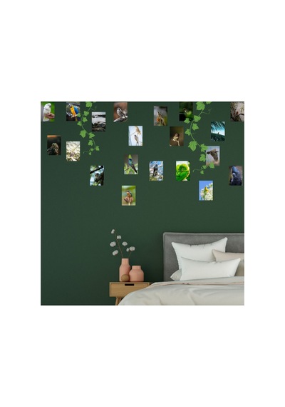 20 Adet A5 Fairycore Kuşlar Poster Seti Estetik Duvar Kolajı Oda Süsleme Doğa Afiş Seti