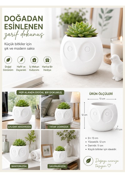 Dekoratif Baykuş Kafası Saksı-bitki,çiçek,kaktüs Ve Sukulent Saksısı-modern Tarz Saksı Beyaz
