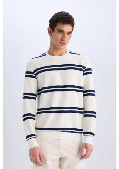 DeFacto Regular Fit Bisiklet Yaka Dokulu Sweatshirt D7595AX25SPWT32