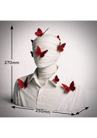 Butterfly Passion Mumya Büst 270mm X 250mm Büyük Boy Dekorasyon