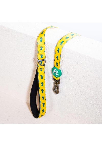 Pawstar L16 Cactus Sevk Kayışı Çok Renkli