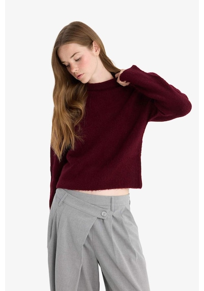 Defacto Regular Fit Yarım Balıkçı Yaka Kazak F4768ax25wnbr466 Bordo