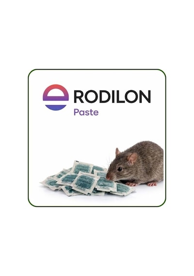 Rodilon Pasta 100 Gr Fare Pastası