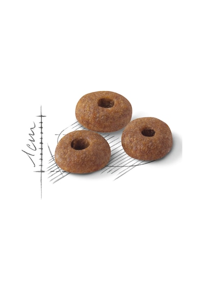 Fit32 2 Kg + Sensory Smell Gravy 85g 2 Adet Hediye
