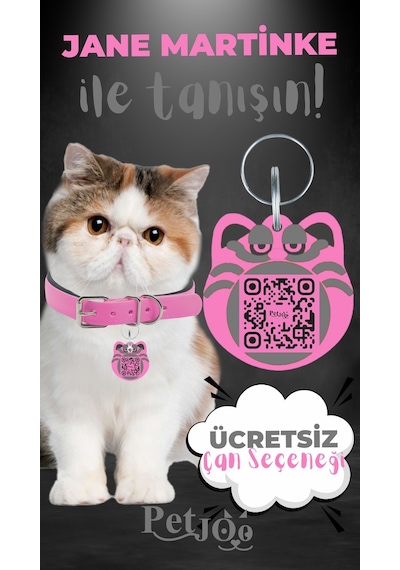 Petjoo 5.Jane Martinke Gri-Pembe Qr'lı Kedi Künyesi
