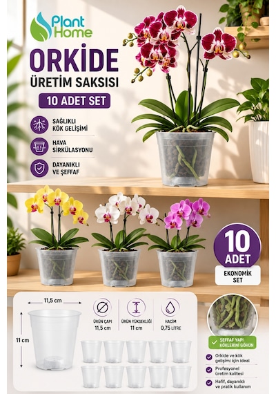 10 Adet Orkide Üretim Saksısı - Plastik Şefaf Orkide Üretimine Uygun Saksı