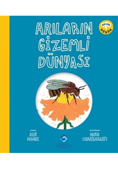 Arıların Gizemli Dünyası / Ben Hoare