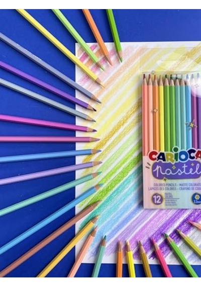 Pastel Renk Kuru Boya Kalemi 24'lü Çok Renkli