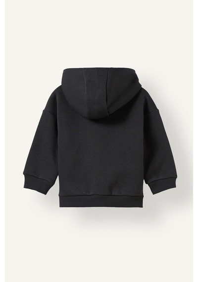 Defacto Kapüşonlu Fermuarlı Kalın Sweatshirt Kumaşı Basic Sweatshirt Hırka Erkek Bebek I4196a526wnar221 Antrasit-ar221