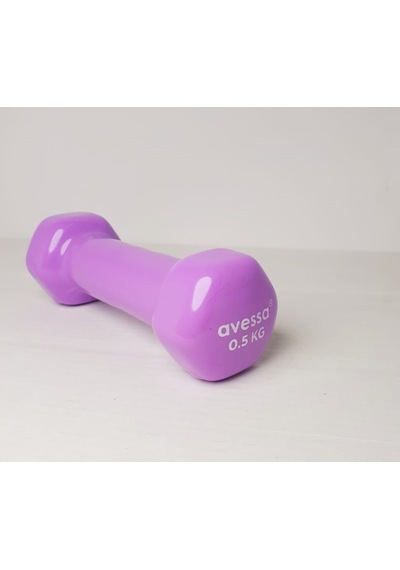 Avessa 0,5 Kg Vinil Dambıl Pvc 2 Adet