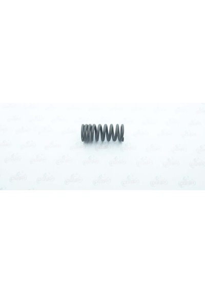 Lifan 100 Egzoz Valfi (Sibop) Yayı (537760110)