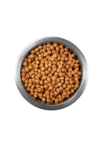 Tuklu Yetişkin Kedi Sı 1 Kg