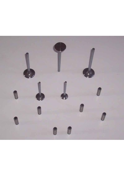 Ceres- Kamyonet- 90/00 Egzost Supapı 2.2cc Arm Uyumlu