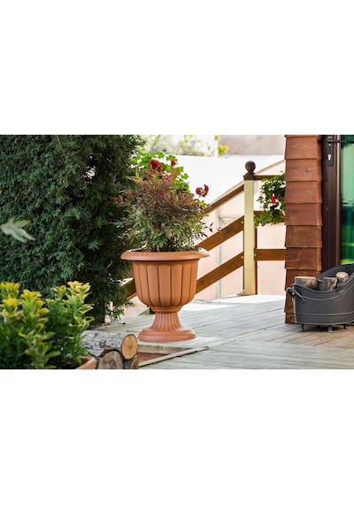 Serinova Nergiz Kupa Saksı 9.8 Lt 45002185