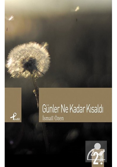 Günler Ne Kadar Kısaldı - İsmail Özen - Profil Kitap