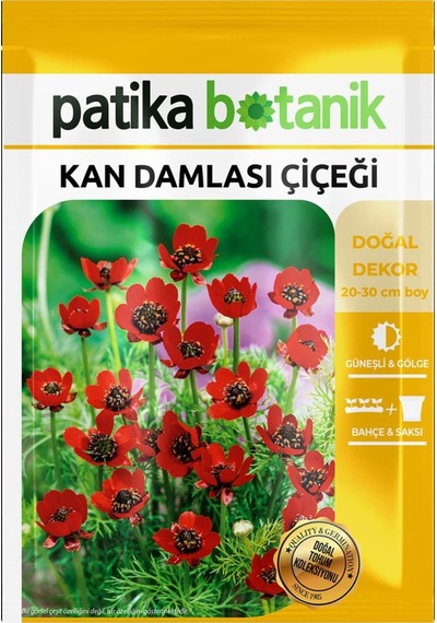 20 Adet Kan Damlası Çiçeği Tohumu