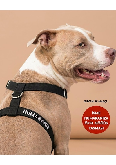 Tr Güvenlik Amaçlı Numaralı İsimli Köpek Göğüs Tasması Kişiye Özel Göğüs Tasması I Küçük Ve Orta Irk Genel