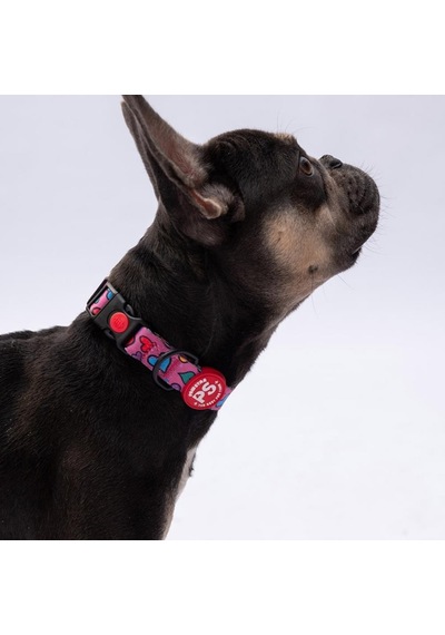Hearts Kalp Desenli Köpek Boyun Tasması Ayarlanabilir Köpek Tasması M Size 32-48cm Boyun Aralığı Mor