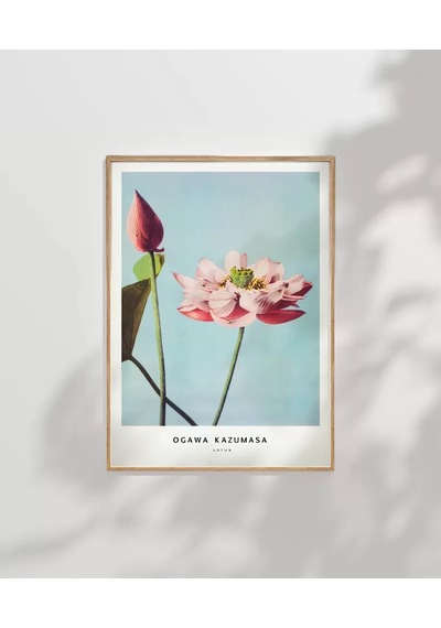 Çerçevesiz Poster Ogawa Kazumasa Lotus