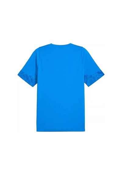 Puma Teamcup Traınıng Jersey Erkek Futbol Tişörtü 65916702 Mavi