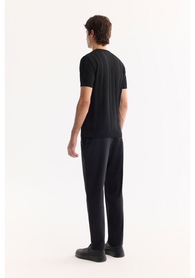 Avva Erkek Siyah Bisiklet Yaka Çizgili Triko Regular Fit T-shirt A52y5005