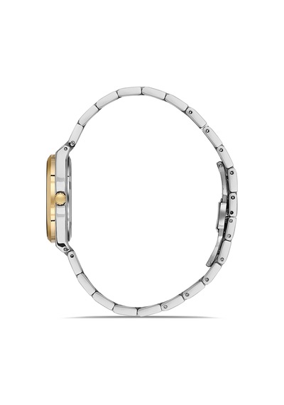 Ferro Fl21631awt-d3 Quartz Çelik Altın/gri Lacivert Kadran 32 Mm Kadın Kol Saati Gri