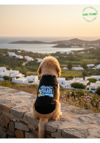 Siyah Beni Yıka Baskılı Kedi Ve Köpek Kıyafeti Evcil Hayvan Tişörtü Elbisesi Large/l/beden 3