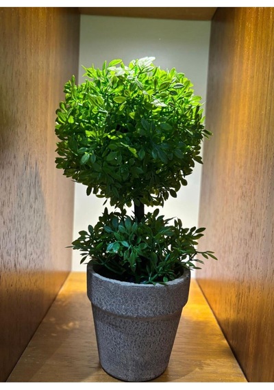 Geometrik Estetik: İkili Küre Formlu Canlı Yeşil Dekoratif Bitki 24 Cm X 10 Cm Yeşil