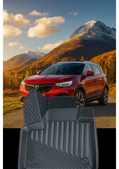 Opel Grandland X 2017-2021 3D Oto Paspas