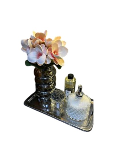 Pastane Servis Tepsisi 33x18 Cm No:2 Paslanmaz Çelik Gümüş Renk Dikdörtgen Sunum Tepsisi 6 Adet Gümüş