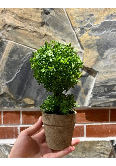 Geometrik Estetik: İkili Küre Formlu Canlı Yeşil Dekoratif Bitki 24 Cm X 10 Cm Yeşil