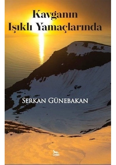 Kavganın Işıklı Yamaçlarında - Serkan Günebakan - Ceylan Yayıncılık
