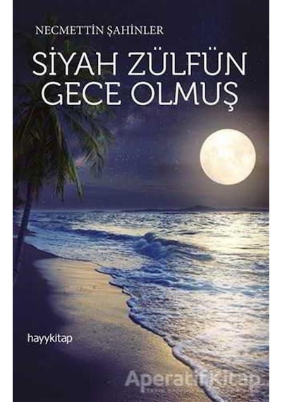 Siyah Zülfün Gece Olmuş - Necmettin Şahinler - Hayykitap