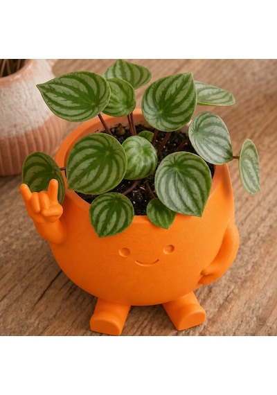 3d Baskı Smiley Face Planter - Gülümseyen Karakterli Saksı-turuncu Çok Renkli