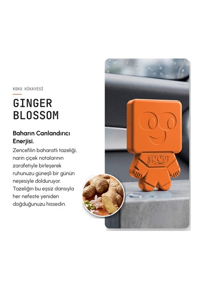 Vavana Jooy Araba Klima Kokusu 6'lı Set, 90 Gün Etkili Oto Kokusu Ginger Blossom