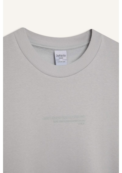 DeFacto Boxy Fit Bisiklet Yaka Baskılı Sweatshirt X8282AZ24AUGR184