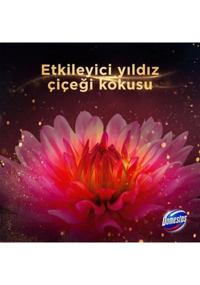 Yıldız Çiçeği Aromalı Tuvalet Bloğu İle Ferah Temizlik