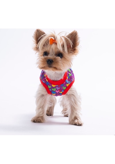 Hearts Tişört Kedi Köpek Tişörtü-kedi Köpek Kıyafeti
