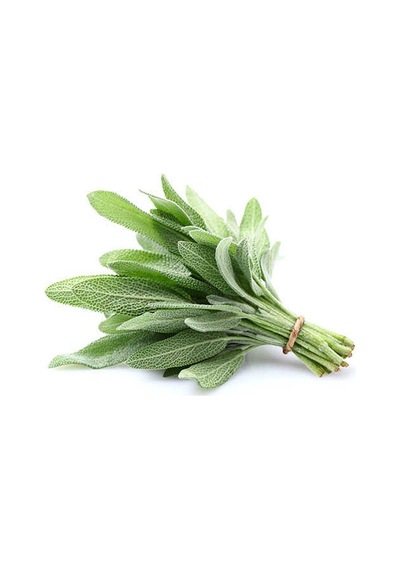 Paket 100 Tohum Nadir Adaçayı Tohumu Ada Çayı Dağ Çayı