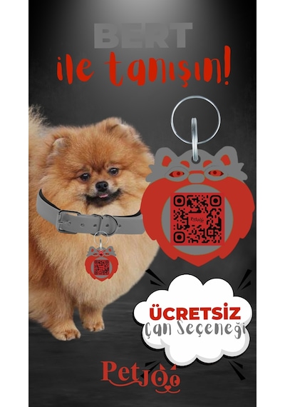 Petjoo 13.Bert Kırmızı-Gri Qr'lı Köpek Künyesi