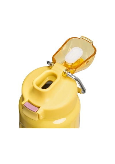 Stanley Wellspring Bottle 0,70 LT  Dijon Gloss