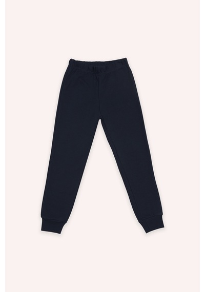 Panço Erkek Çocuk Bej Tilki Baskılı Pijama Takımı Çok Renkli