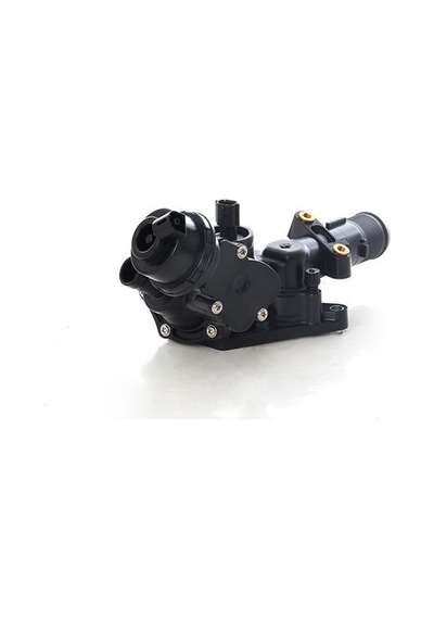 Bsg 60-125-026 Termostat 176-117-246-x156-415 Cıtan / Niss