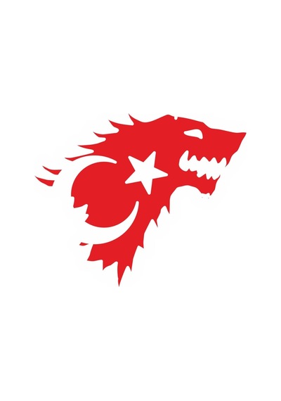 Kurt Şeklinde Türk Bayrağı Sticker Yapıştırması