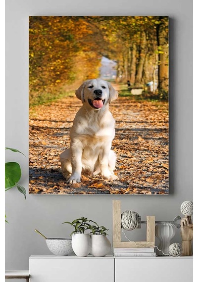 Pster16101 Retriever Hayvan Kanvas Tablo 30 X 40 7/8 Yaş