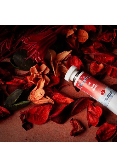 St. Petersburg White Nights Extra-fine Tüp Sulu Boya 10 ML Scarlet Mist 389